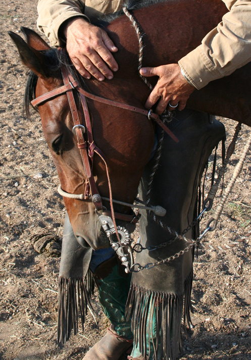 Stephen's Horse, Maya